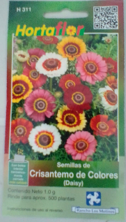 Semillas de Crisantemo de Colores| Semilla Hortaflor